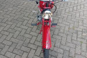 Moto Guzzi Altro modello - 1951