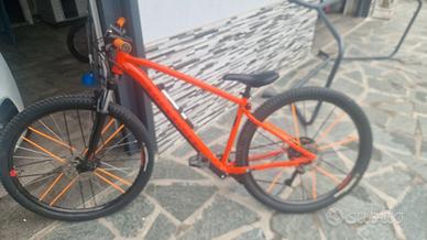 Modello Adulto (EXPL 500 29)