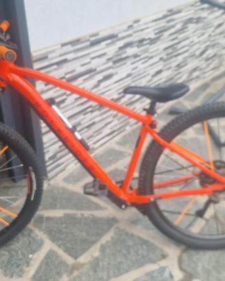 Modello Adulto (EXPL 500 29)
