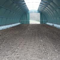 tunnel agricolo 