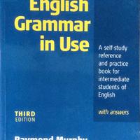 English grammar in use