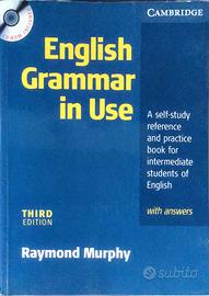 English grammar in use