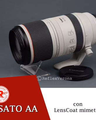 Canon RF 100-500mm F4.5-7.1 L IS USM