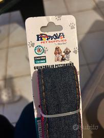 Pettorina e guinzaglio cane