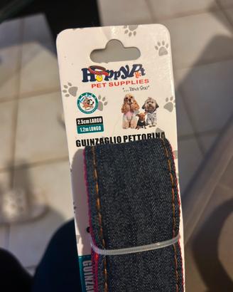 Pettorina e guinzaglio cane
