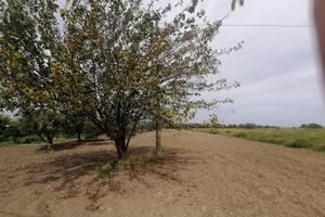 597492 Costruisci la Tua Villa a Gabella Grande