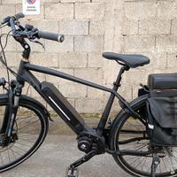 bicicletta elettrica 