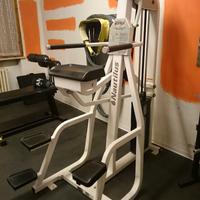 Nautilus Dip chin / trazioni ,flessioni assistite
