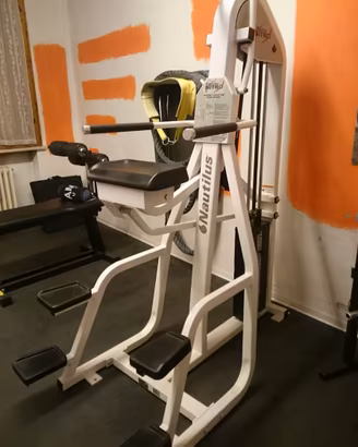 Nautilus Dip chin / trazioni ,flessioni assistite