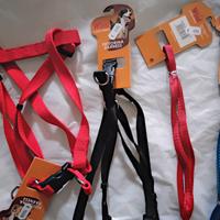 Pettorina e guinzaglio per cani medi e grossi