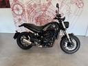 benelli-leoncino-500-benelli-ym-2023