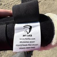 Stinchiere horka