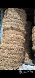Fieno rotoballe