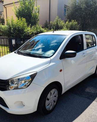 Suzuki Celerio 1.0 benzina 2019