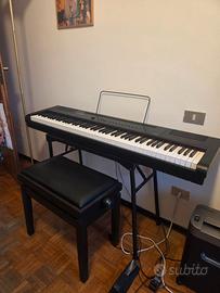 tastiera artesia PA-88H + (tastiera 8 ottave, set
