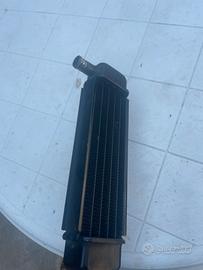 radiatore f12