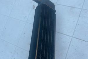 radiatore f12
