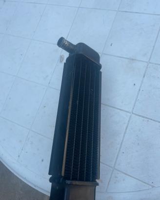 radiatore f12