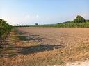 san-canzian-terreno-agricolo-4500-mq-c-a