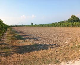 San Canzian Terreno agricolo 4500 mq c.a