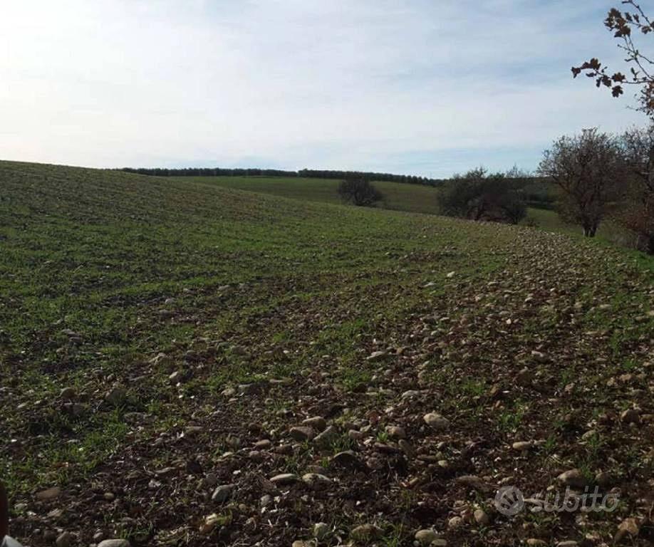 Immobile in asta di 43852 m² a Venosa - Vista 3