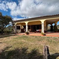 Esclusiva Villa con Uliveto