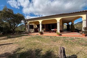 Esclusiva Villa con Uliveto