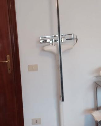 Bilancia professionale 