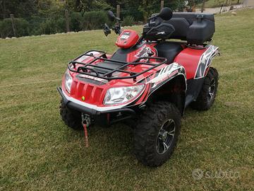 Quad Arctic cat