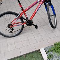 Bici ragazzo misura 24