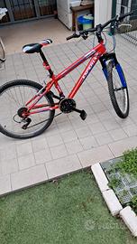 Bici ragazzo misura 24