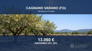 Immobile in asta di 6968 m² a Cagnano Varano