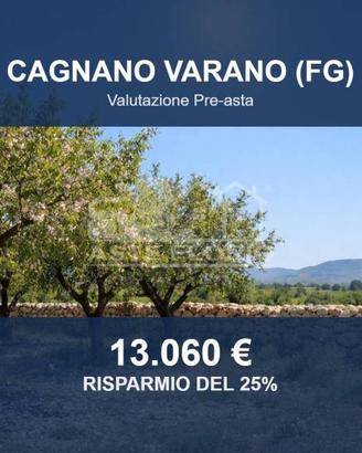 Immobile in asta di 6968 m² a Cagnano Varano
