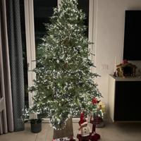 Albero di natalea Enzo de Gasperi Pino Spark 180cm