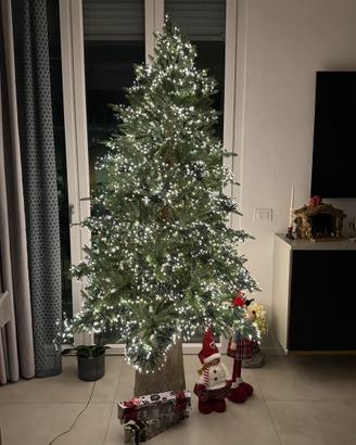 Albero di natalea Enzo de Gasperi Pino Spark 180cm