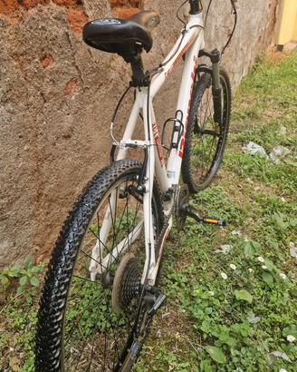 MTB Bianchi 