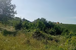 Terreno di 25200 m² a San Damiano al Colle