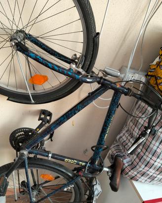 bicicletta 