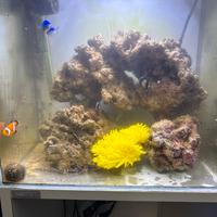 Acquario 60lt Aqpet con mobiletto
