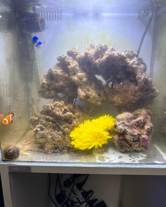 Acquario 60lt Aqpet con mobiletto