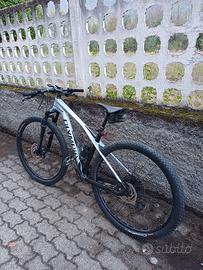 Olympia Iron 29