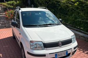 Fiat Panda (169)