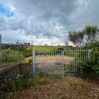 Zagarolo: terreno agricolo pianeggiante
