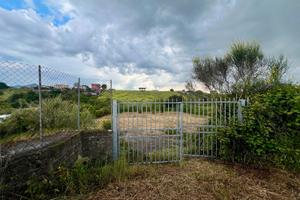 Zagarolo: terreno agricolo pianeggiante
