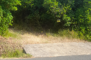 Bosco piante mediterranee 11 ettari