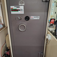 Cassaforte professionale