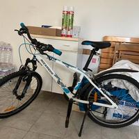 bici da ragazzo 24”