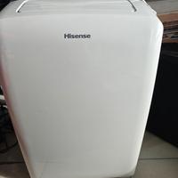 condizionatore portatile 