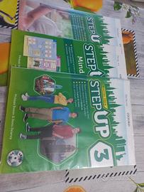 stepup 3