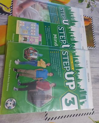 stepup 3